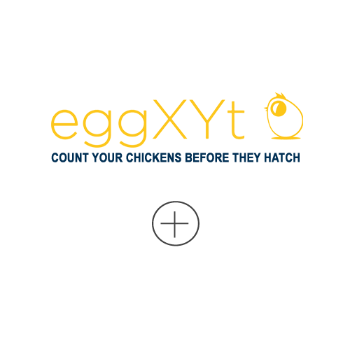 eggXYt